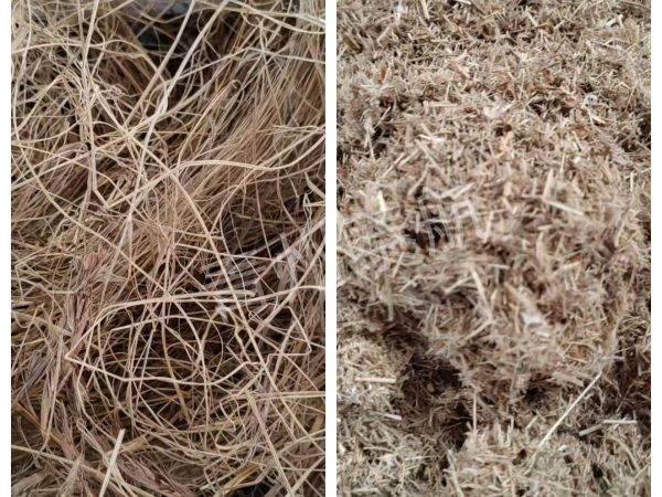 干草切断效果对比