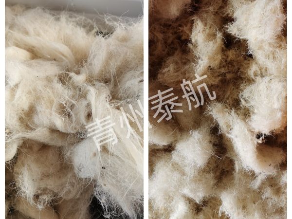 棉绒切断效果对比